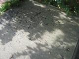image of grave number 434142